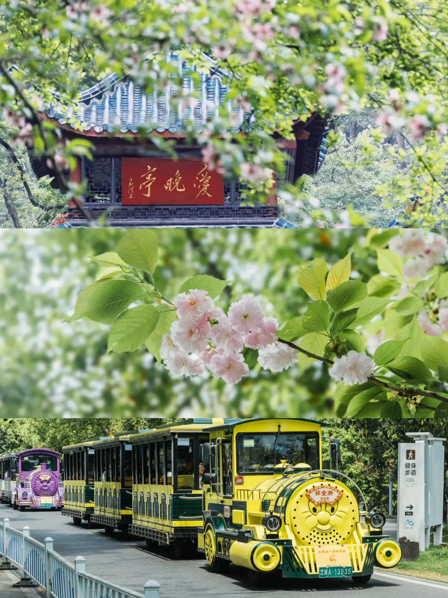 Yuelu Mountain